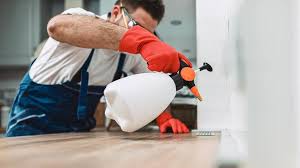 Real Estate Pest Inspections in Denver, PA